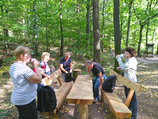 Auf dem Höhenweg zur Madenburg 2019